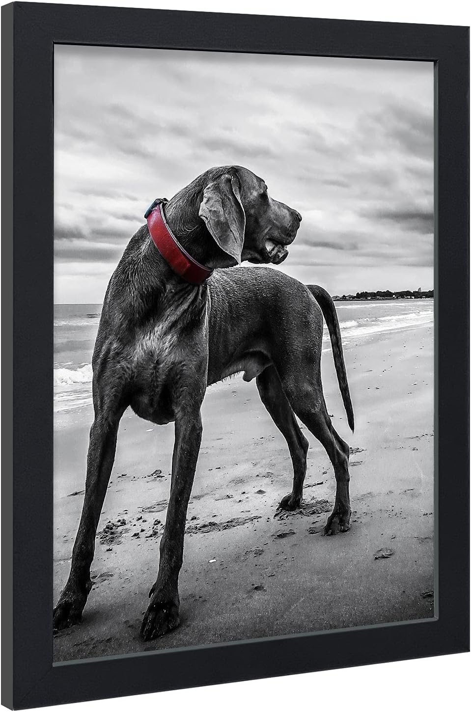Poster Frame in Black with Polished Plexiglass Set of 5 Horizontal and Vertical
